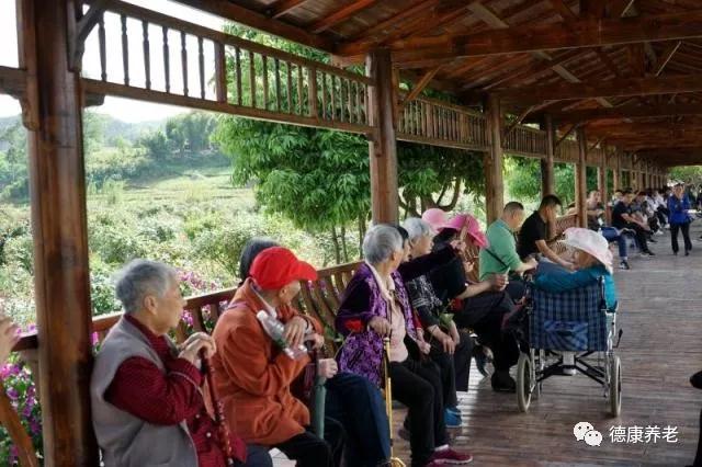 盛鸿国际(中国游) - 官方网站